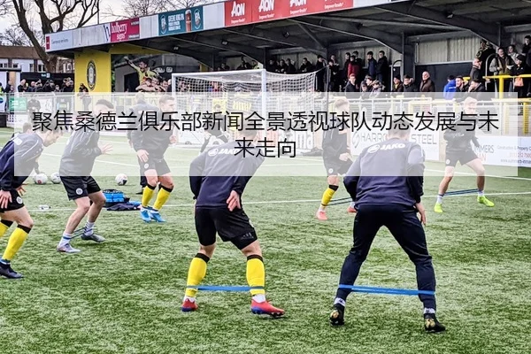 聚焦桑德兰俱乐部新闻全景透视球队动态发展与未来走向