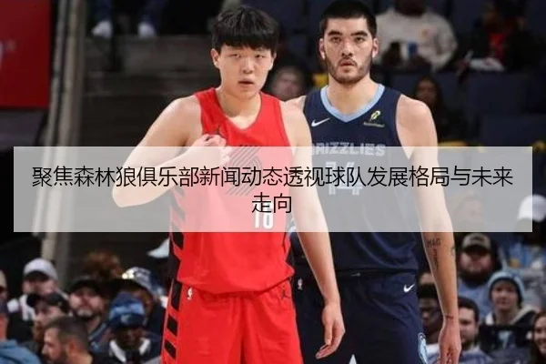 聚焦森林狼俱乐部新闻动态透视球队发展格局与未来走向