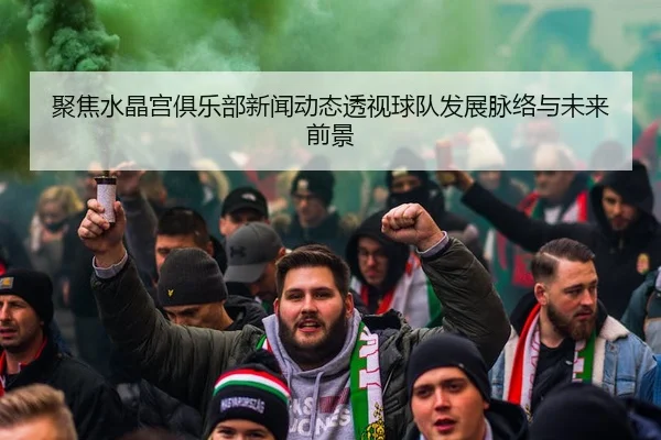 聚焦水晶宫俱乐部新闻动态透视球队发展脉络与未来前景