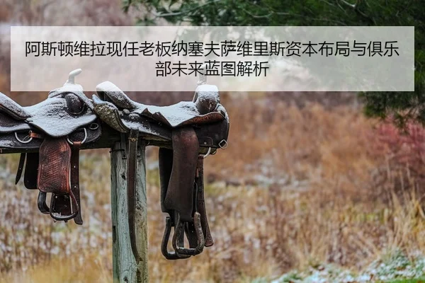 阿斯顿维拉现任老板纳塞夫萨维里斯资本布局与俱乐部未来蓝图解析